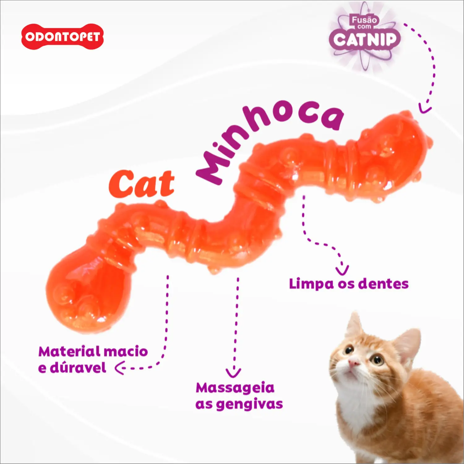Brinquedo Minhoca com Catnip Odontopet Cat